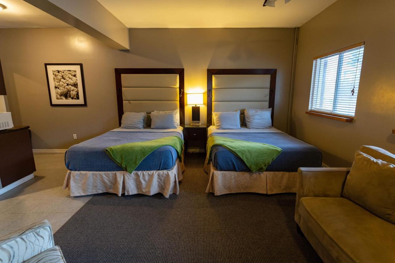 Stoco Lake Lodge Tweed Kültér fotó